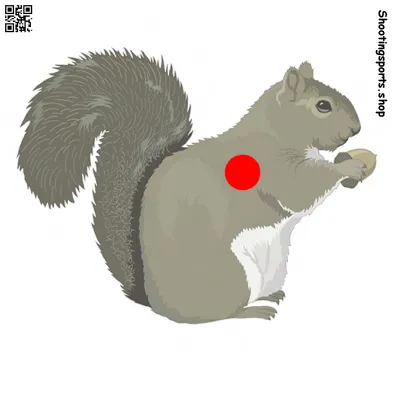 [SSSTGT0020C] Squirrel Target - Paper 17cm x 17cm